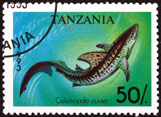 Postage stamp Tanzania 1993 tiger shark, galeocerdo cuvier, is a species of ground shark