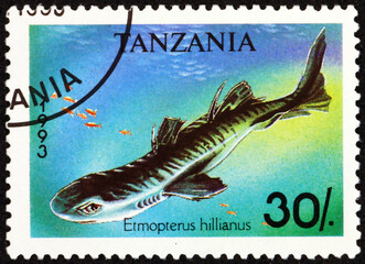 Postage stamp Tanzania 1993 Caribbean lanternshark, etmopterus hillianus, is a shark found in the eastern and western Atlantic
