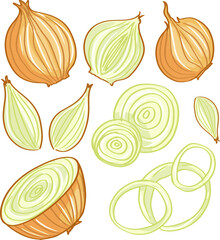 Cartoon onions set. Whole onion, cut, onion rings. Flat simple design. Vector illustration of organic farm fresh vegetables. Isolated on white background.