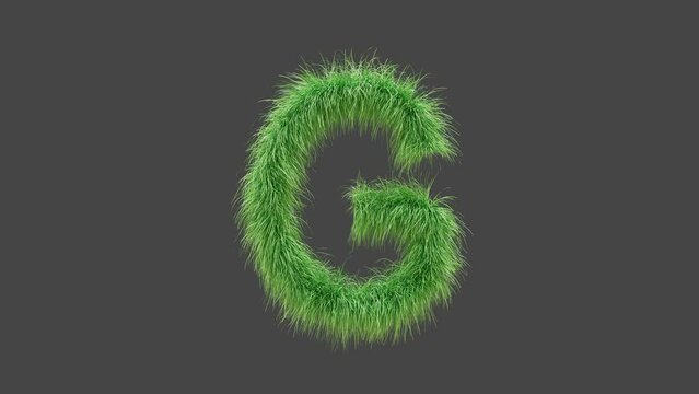 3D animation green grass letter G, isolated beautiful letter of green grass blowing in the wind, 3D rendering, RGB Alpha, UHD 4K