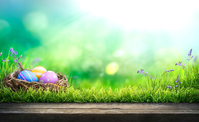 Three painted easter eggs in a birds nest celebrating a Happy Easter on a spring day with a green grass meadow, bright sunlight background with copy space and a wooden bench to display products.	