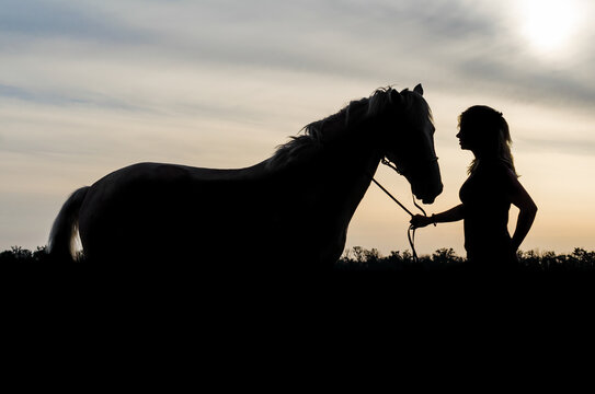 silhouette of a young girl with a horse on the background of the sunset sky