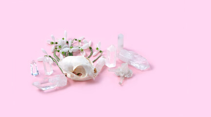 Quartz gemstones, animal skull, snowdrops flowers on pink background. spring season creative image. witchcraft, magic crystal spiritual ritual. minimal style. template for design. copy space