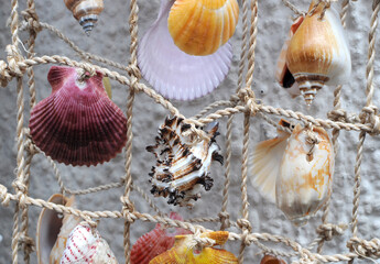 Decorative curtain made of sea shells