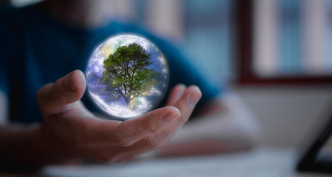 save earth and carbon emission concept businessman hand holding virtual glob and tree, carbon footprint and carbon credit for green business, elements of the image furnished by nasa