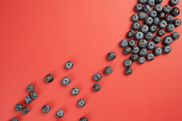 Fresh Delicious Blueberries