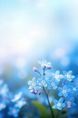 Forget me not flowers on soft blurred background