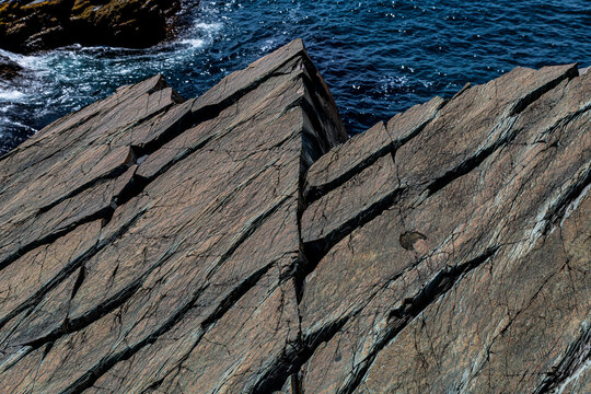Precambrian fossils, Mistaken Point, UNESCO World Heritage Site, Avalon Peninsula, Newfoundland, Canada