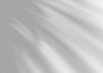 Fototapeta premium Shadow from plant leaves, overlay effect. Realistic gray shadow on transparent background, PNG. Applicable for product presentation, photos, backdrop. Sun light. 3D render