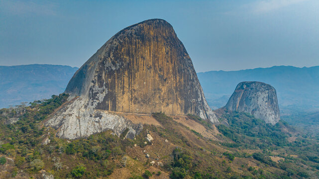 Conda, Kumbira Forest Reserve, Kwanza Sul, Angola