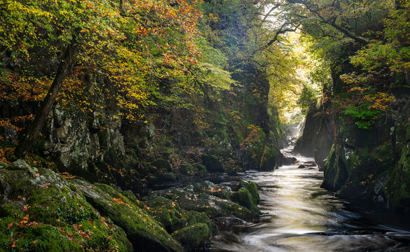 Fairy Glen, Betws y Coed, Conwy, Snowdonia, Wales