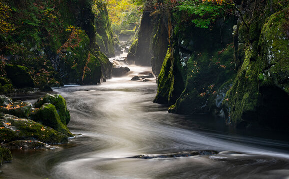 Fairy Glen, Betws y Coed, Conwy, Snowdonia, Wales