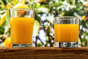 Two glasses of orange juice on nature background. Fruit concept.