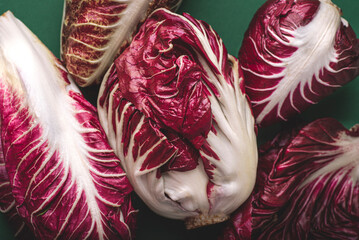 Italian bitter red radicchio chicory from Treviso (PGI, Verona, Italy) on the green background....