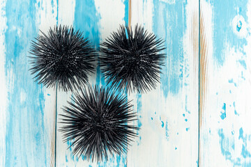 View of sea urchins on wooden background.