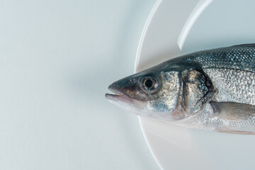 Raw fresh seabass fish on a white plate. Minimal food concept. Top view.