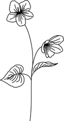 Birth month flower Line Art.