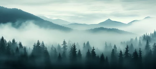Foto auf Leinwand Fog mist clouds over forest mountains scenery landscape © kraftbunnies