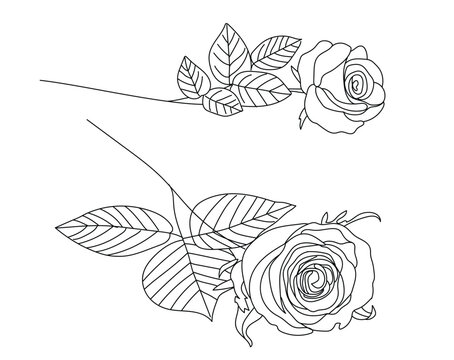 Set of black and white flowers, lying roses one line drawing vector, rose outline, rose with leaves | flower continue line art, flower illustration, flower vector