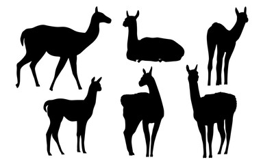 Set of guanaco silhouettes. Lama guanicoe. Wild animals of South America. Vector illustration