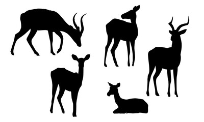 Set of silhouettes of Kob antelopes. Males with horns and females of Kobus kob thomasi. Mammals of Central Africa. Vector illustration set.