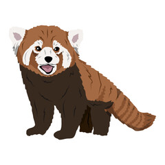 Red panda Ailurus fulgens. lesser panda, the red bear-cat, and the red cat-bear. Realistic vector animals