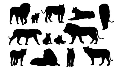 Set of silhouettes of African lions Panthera leo. Wild animals of Africa. Realistic vector landscape