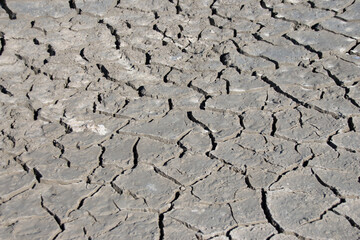 Terreno cuarteado por condiciones climáticas extremas debidas a la sequía.