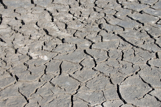 Terreno cuarteado por condiciones clim&aacute;ticas extremas debidas a la sequ&iacute;a.