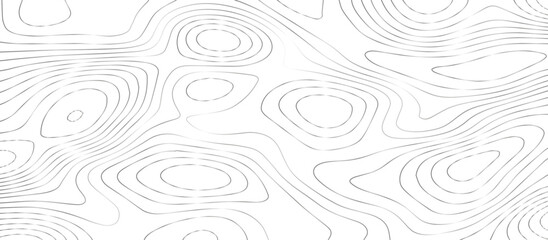 Abstract White wave paper curved reliefs background .Panorama view gradient multicolor wave curve lines banner background design. Vector illustration. wave Line topography map contour background.