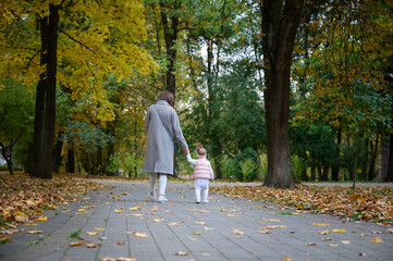 Mother and cute baby girl walking in autumn park with leaves on the ground. Mom spending time with...