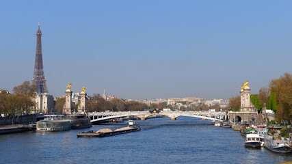Alexandre III bridge in the 8th arrondissement of Paris city - obrazy, fototapety, plakaty