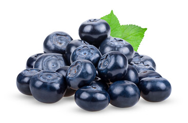 blueberry isolated on white background