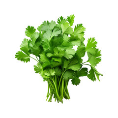 bunch of coriander leaves on a transparent background png, Clipping Path, pen tool