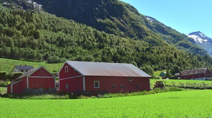 Fototapeta na wymiar Green Farmland with red farm buildings