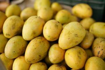 Variety of fruits and vegetables