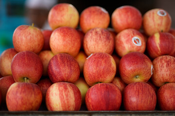 Variety of fruits and vegetables