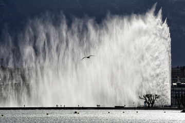 Geneva, Switzerland, Europe - Jet d'Eau fountain (powered by jet engine) on Lake Geneva, city's most famous landmark, strong wind - obrazy, fototapety, plakaty