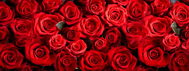 Texture of red roses background a lot. Selective focus.