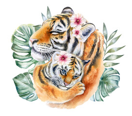 Tigers. Mum with a baby isolated on a white background. Tiger cub. Tigress mum washes a baby. Watercolor. Illustration, template. Close-up. Clipart. Mothers Day. Greeting card design.
