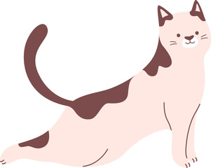 Cat Doing Stretching