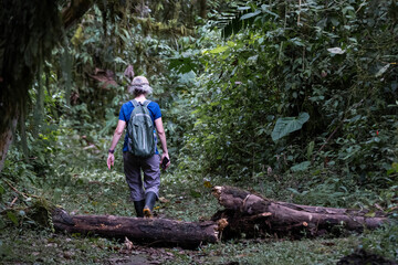 woman trekking inside a tropical forest
