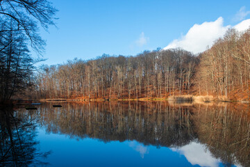 Forest mirroring in the water of the lake and blue sky