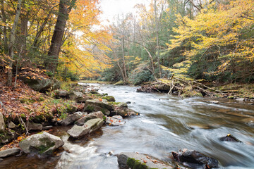Bear Creek in Garrett County Maryland