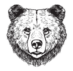 Cute animal bear face hand drawn sketch in doodle style illustration
