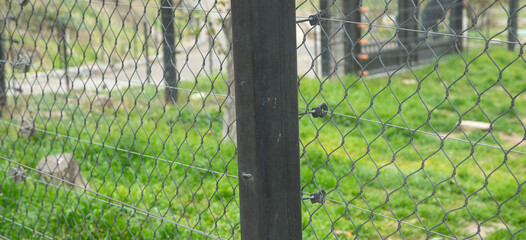 Chain link fence in outdoor background.