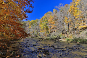 The Casselman River in Late Fall