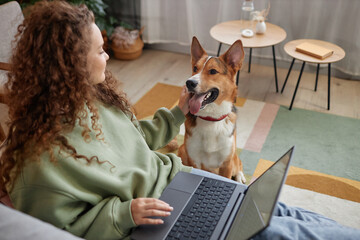 Over shoulder view of young woman petting cute dog while using computer relaxing on couch at home,...