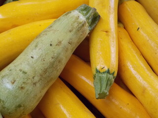 courgettes - 694938206