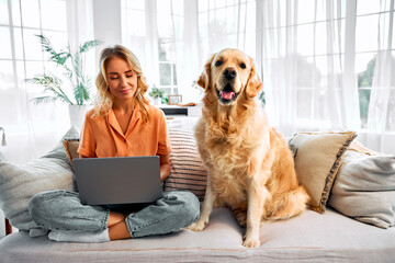 Freelance and pet. Beautiful caucasian woman with blond hair using wireless laptop on couch with...